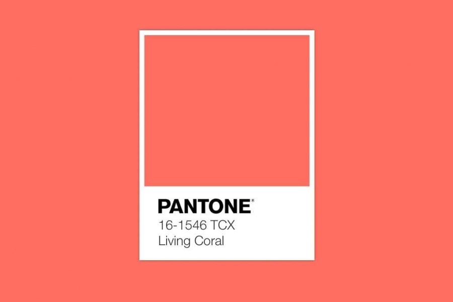 Pantone2019x.jpg