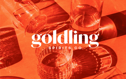 有机伏特加汽水品牌 Goldling的品牌vi形象设计