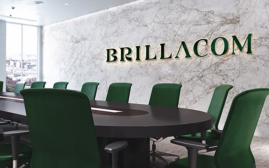 金融控股公司 Brillacom 品牌VI设计