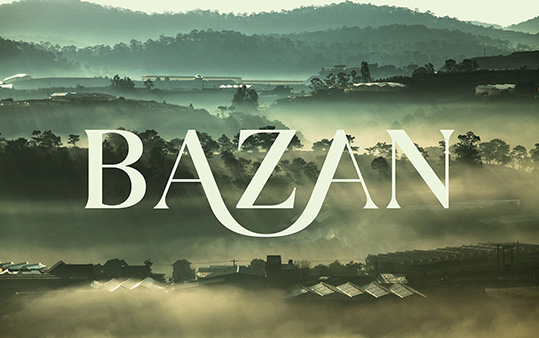 Bazan 酒店品牌VI设计