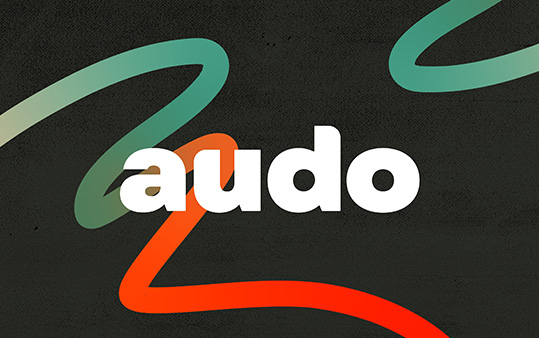 人工智能平台 Audo 品牌VI设计