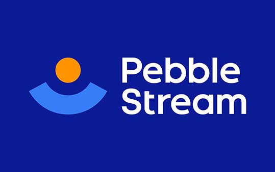 数据计算公司 Pebble Stream 品牌VI设计
