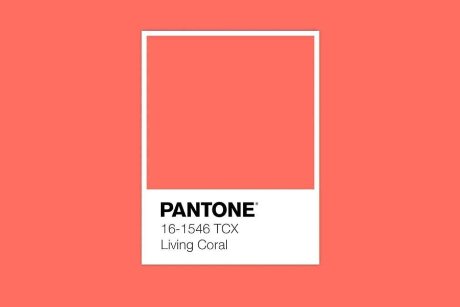 Pantone2019x.jpg Pantone2019x.jpg