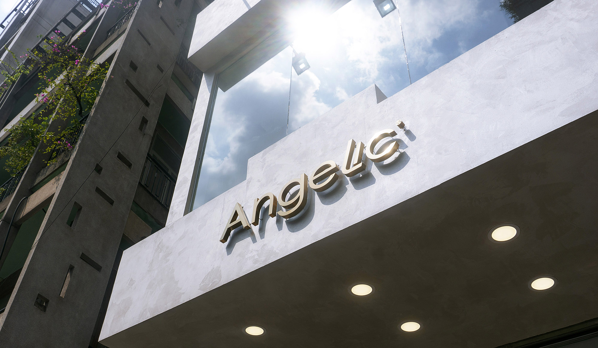 10-Angelic-world-brand-design.jpg 10-Angelic-world-brand-design.jpg