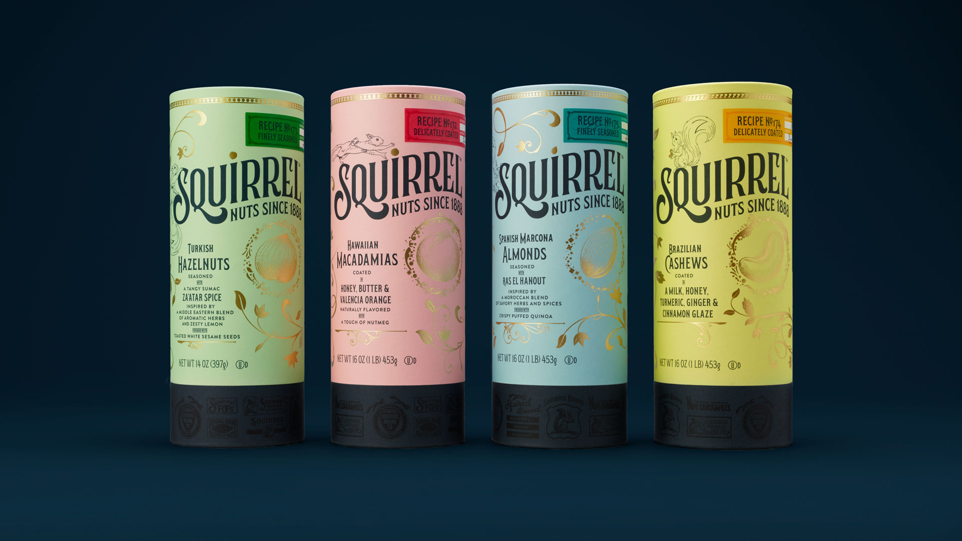 Squirrel_Photo_HERO_widescreen_blue1.jpg