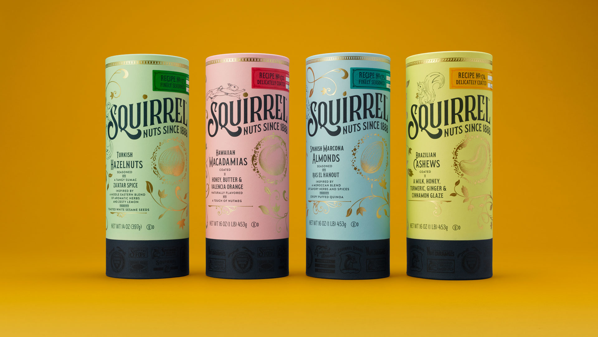 Squirrel_Photo_HERO_widescreen_yellow.jpg